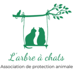 L'arbre à chats